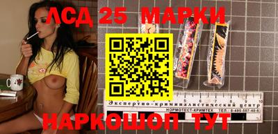 ГАЛЛЮЦИНОГЕННЫЕ ГРИБЫ Кингисепп