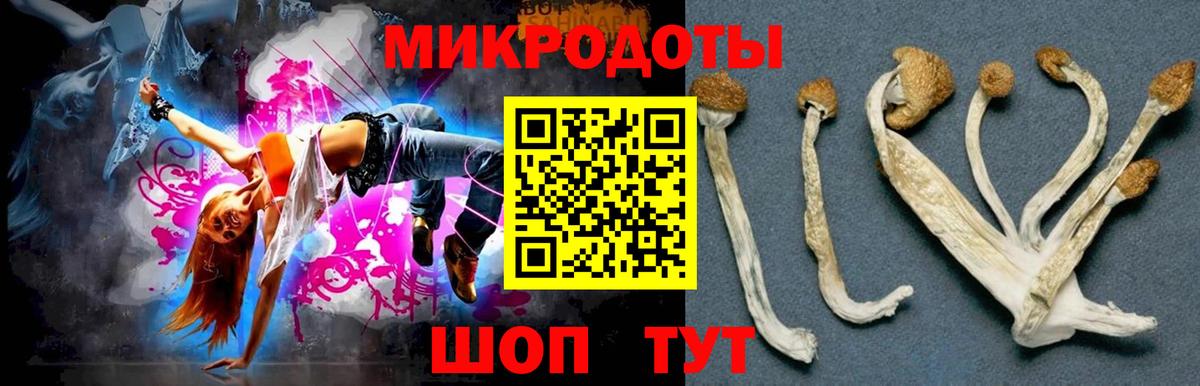 Псилоцибиновые грибы Cubensis Каменск-Шахтинский