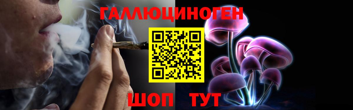 Псилоцибиновые грибы мицелий  Вход с VPN  Псилоцибиновые грибы мицелий  Каменск-Шахтинский 